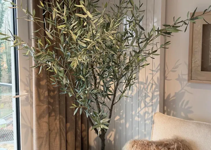 Zlota Plaza Kaszmirowy De Luxe Nr 15 * Boszkowo-Letnisko