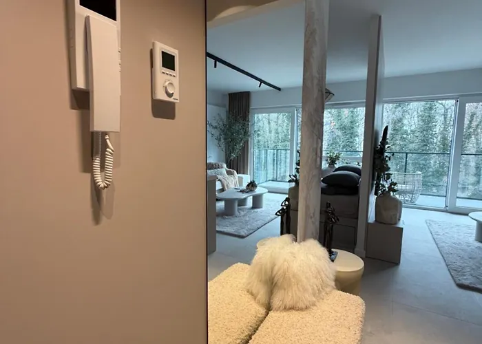 Zlota Plaza Kaszmirowy De Luxe Nr 15 Boszkowo-Letnisko